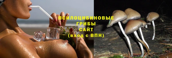 амф Медногорск