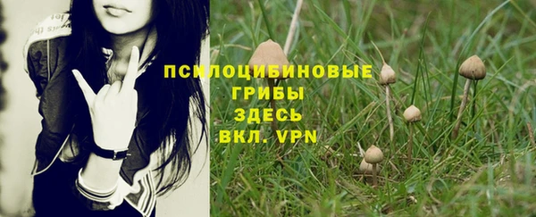 не бодяженный Мегион