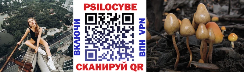 Галлюциногенные грибы GOLDEN TEACHER  Черепаново 